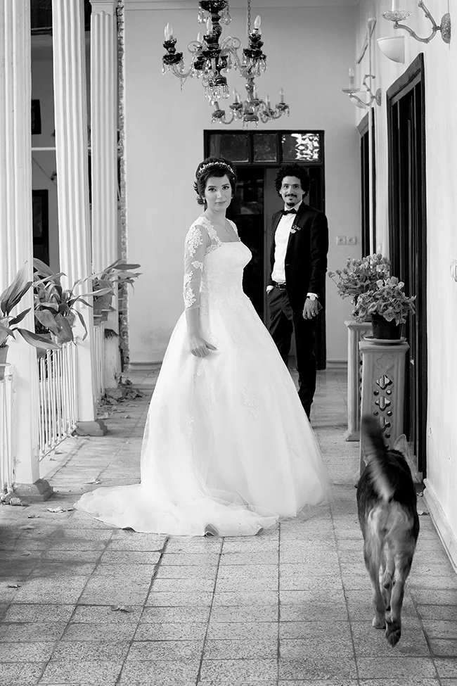 Roya & Arash, wedding photography by Liko Studio, photo 3 of 23